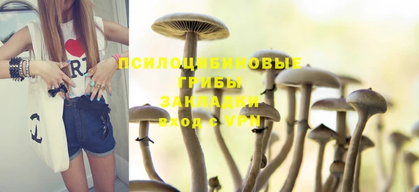 ГАЛЛЮЦИНОГЕННЫЕ ГРИБЫ Алзамай