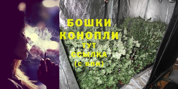 ГАЛЛЮЦИНОГЕННЫЕ ГРИБЫ Алзамай