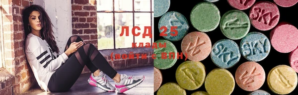 стаф Алексин