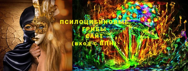 ГАЛЛЮЦИНОГЕННЫЕ ГРИБЫ Алзамай