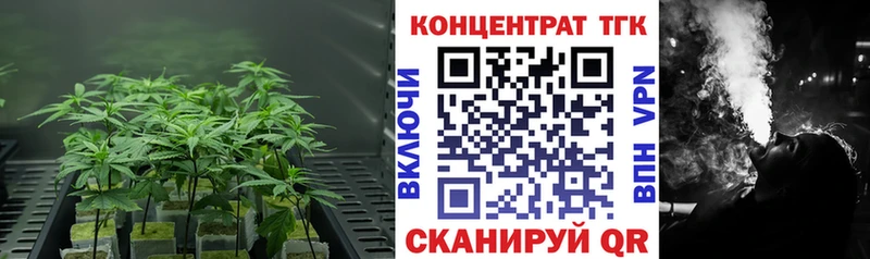 ТГК Wax  закладка  Жиздра 