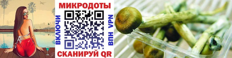 купить цена Жиздра площадка наркотические препараты Галлюциногенные грибы ЛСД